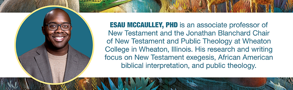 God's Colourful Kingdom Storybook Bible by Esau McCaulley