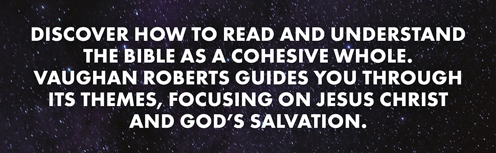 God's Big Picture by Vaughan Roberts